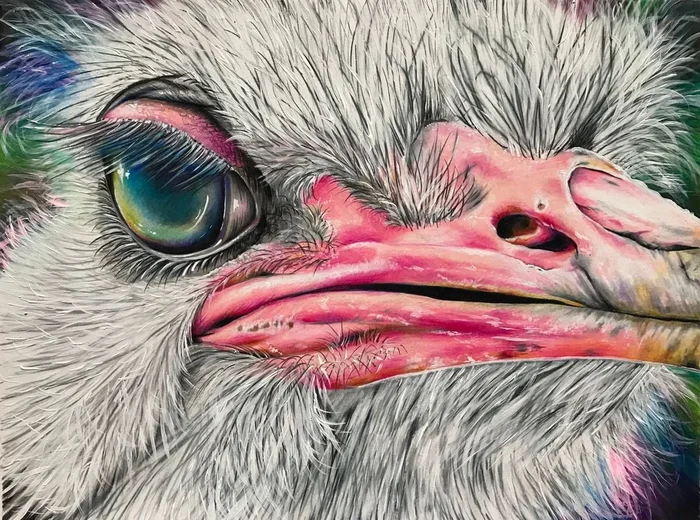 ‘Olive’ (ostrich) (2017) Mixed-media painting by Karen Elaine Evans