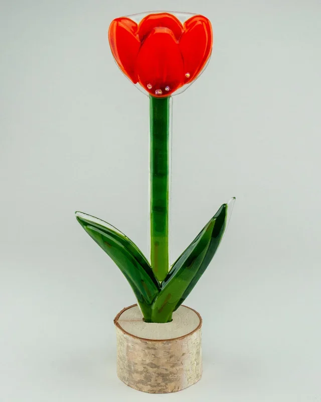 Open Tulip Patch – Sunset