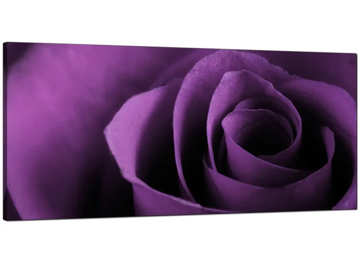 Purple Rose Petal Flower Floral Modern Canvas Art