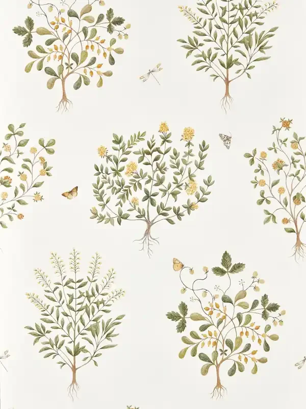 Sanderson Lichen Gooseberry Highgrove Wallpaper 10M Thyme Walk