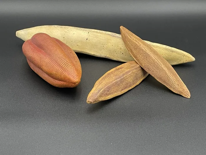 Seeds of Change, Grouping 1 – Seed Grouping 1