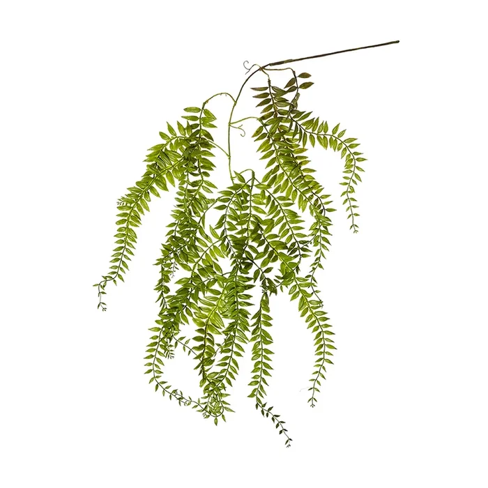 Spring Hanging Fishbone Fern Green Stem