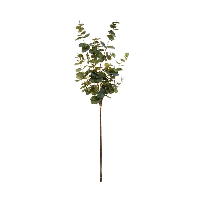 Spring Stems Eucalyptus Green