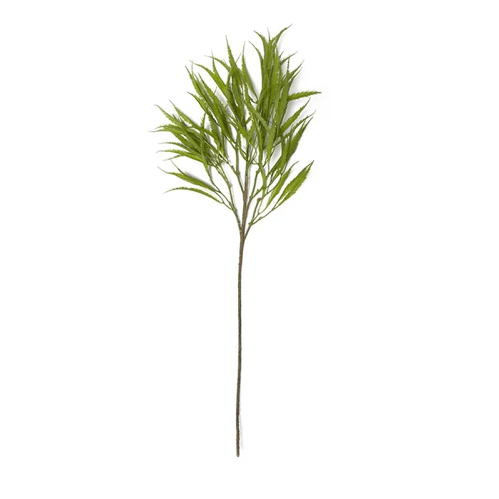 Spring Stems Scales Leaf