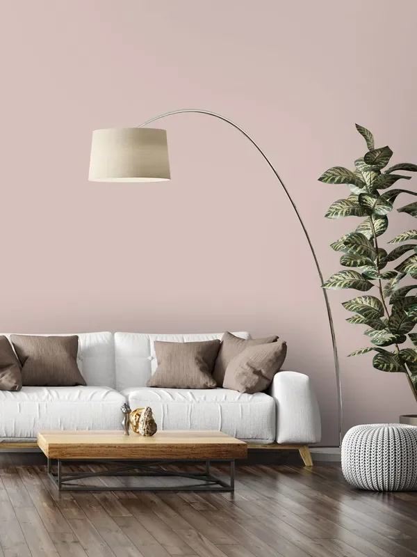 Style Sisters Pink Matt 2.5Lt Emulsion Paint