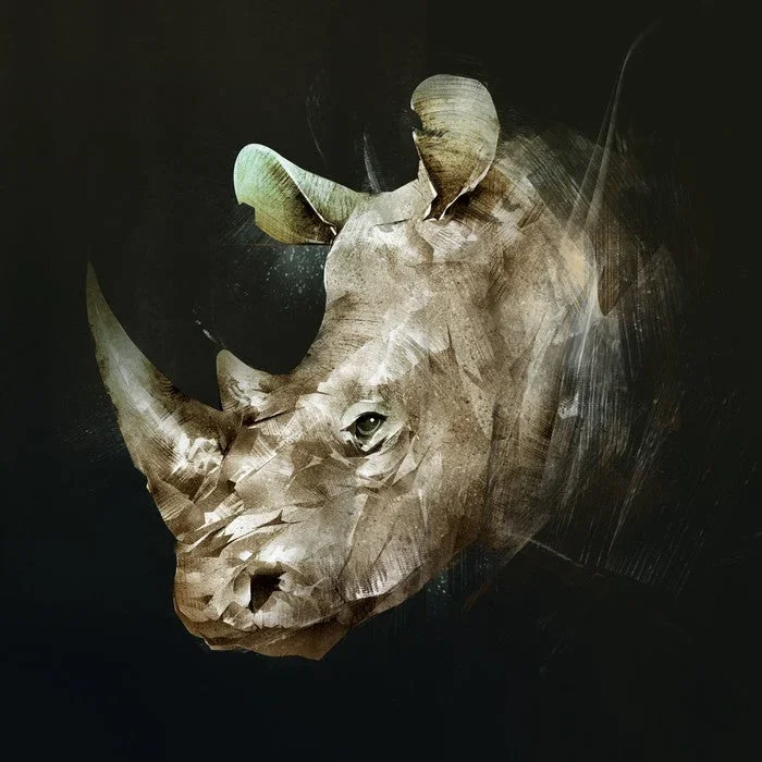 The African rhino