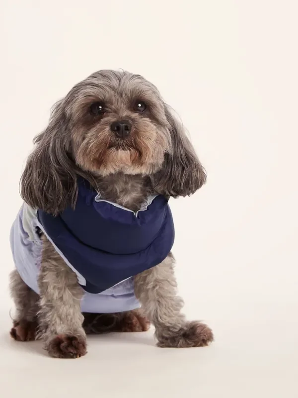 Tog 24 Blue Fetch Padded Dog Coat