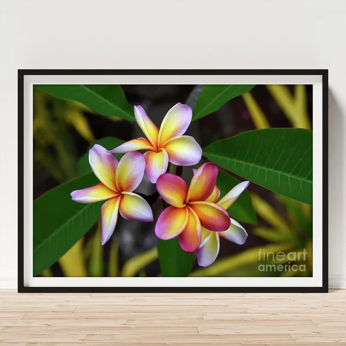 Tropical Flowers Art Print