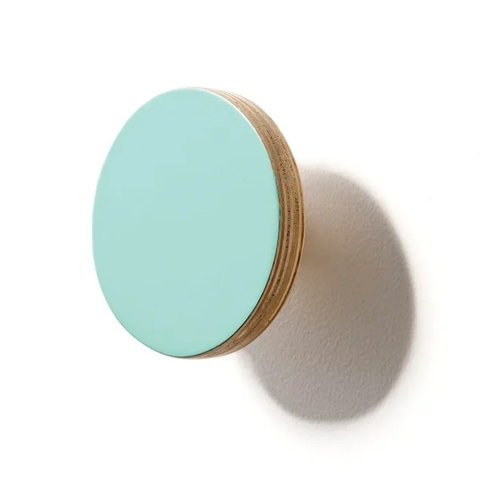Wall Hook Mint Circle