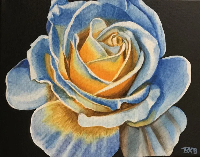 White & Blue Rose