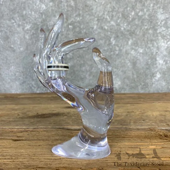 Whitetail Deer Antler Ring with Magnetite Inlay For Sale