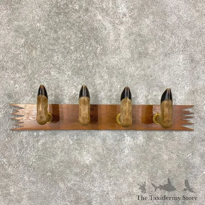 Whitetail Deer Hoof Gun Rack Taxidermy Mount For Sale