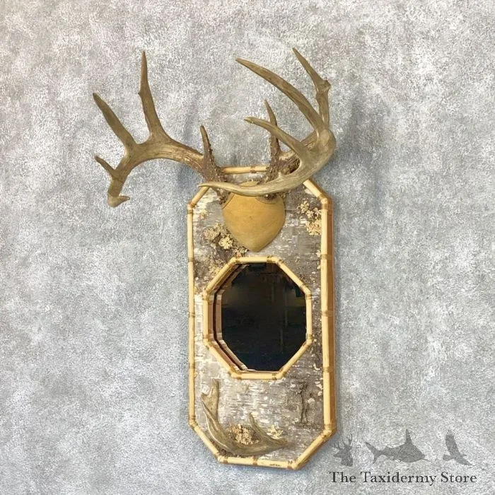 Whitetail Deer Mirrored Hatrack For Sale