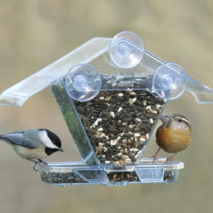 Window Café Transparent Window Feeder