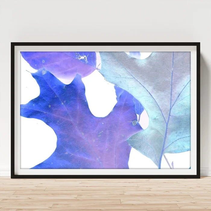 Xray Leaves II Art Print