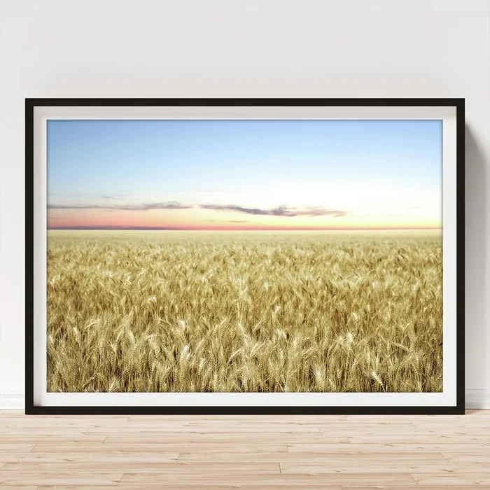 Xxl Wheat Field Twilight Art Print