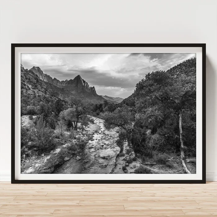 Zion National Park in Black and White Art Print